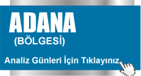 adana